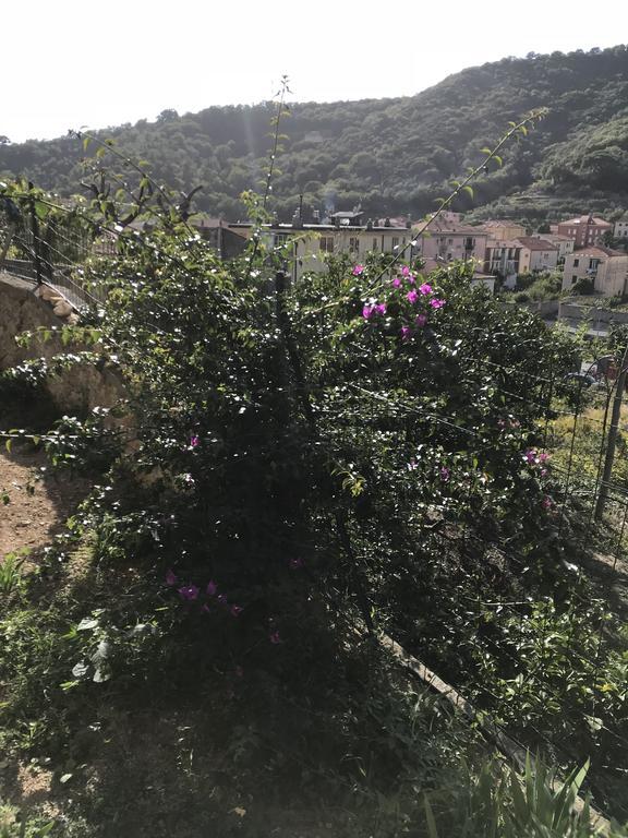 Appartamento Alessandra Finale Ligure Exteriér fotografie